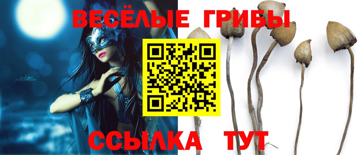 дарнет шоп  Вход с VPN  Соликамск  Галлюциногенные грибы Cubensis 